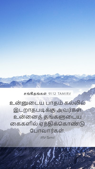 சங்கீதங்கள் 91:12 TAMIRV Bible Verse Image