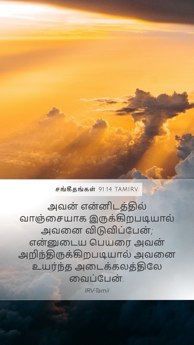 சங்கீதங்கள் 91:14 TAMIRV Bible Verse Image