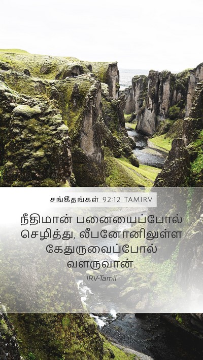 சங்கீதங்கள் 92:12 TAMIRV Bible Verse Image