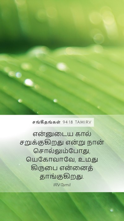 சங்கீதங்கள் 94:18 TAMIRV Bible Verse Image