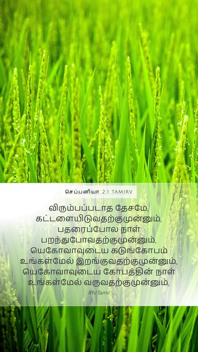 செப்பனியா 2:1 TAMIRV Bible Verse Image