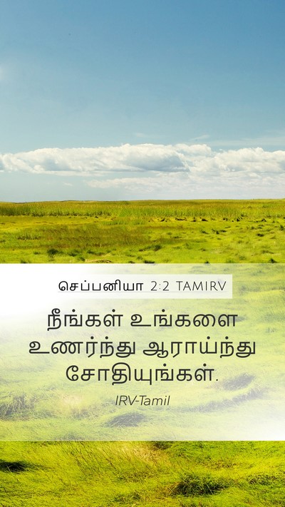 செப்பனியா 2:2 TAMIRV Mobile Phone Wallpaper - நீங்கள் உங்களை - Mobile Bible Verse Wallpaper