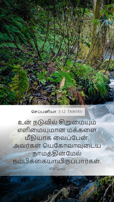 செப்பனியா 3:12 TAMIRV Bible Verse Image