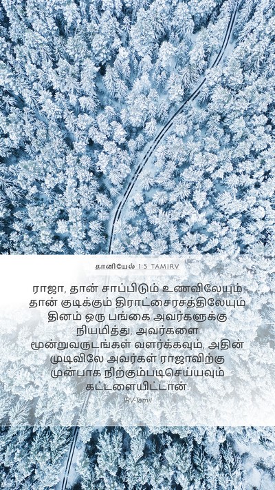 தானியேல் 1:5 TAMIRV Bible Verse Image