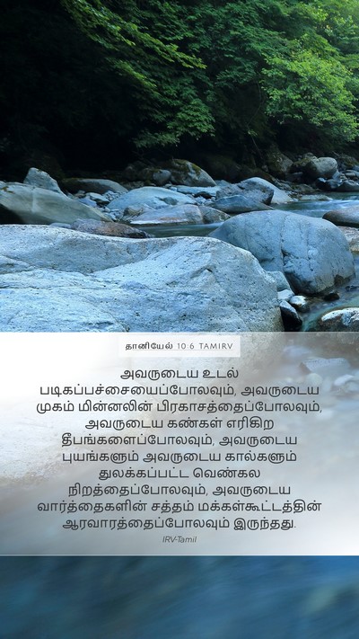 தானியேல் 10:6 TAMIRV Bible Verse Image