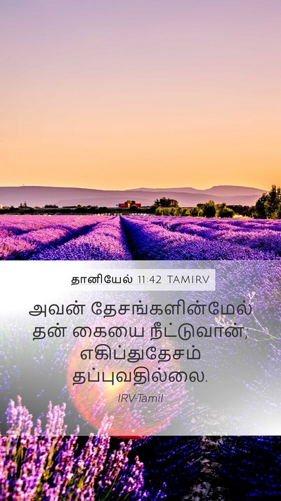 தானியேல் 11:42 TAMIRV Bible Verse Image