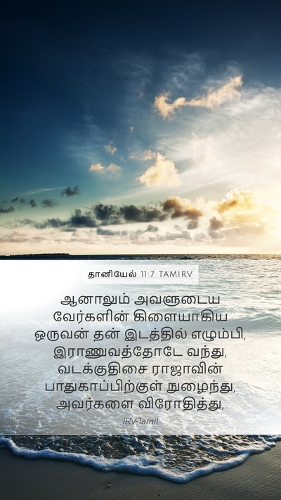 தானியேல் 11:7 TAMIRV Mobile Phone Wallpaper - ஆனாலும் அவளுடைய - Mobile Bible Verse Wallpaper