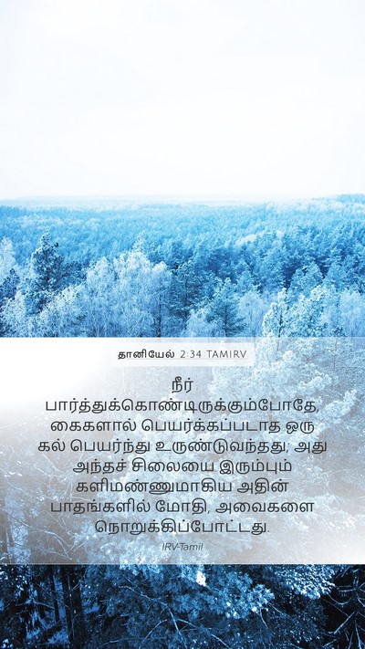தானியேல் 2:34 TAMIRV Bible Verse Image