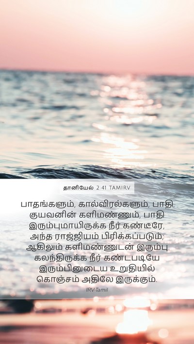 தானியேல் 2:41 TAMIRV Mobile Phone Wallpaper - பாதங்களும், - Mobile Bible Verse Wallpaper