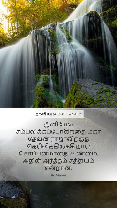 தானியேல் 2:45 TAMIRV Bible Verse Image