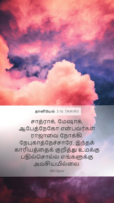 தானியேல் 3:16 TAMIRV Bible Verse Image