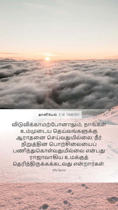 தானியேல் 3:18 TAMIRV Bible Verse Image