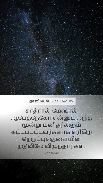 தானியேல் 3:23 TAMIRV Mobile Phone Wallpaper - சாத்ராக், மேஷாக், - Mobile Bible Verse Wallpaper