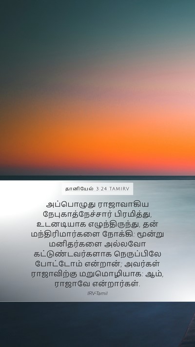 தானியேல் 3:24 TAMIRV Mobile Phone Wallpaper - அப்பொழுது - Mobile Bible Verse Wallpaper