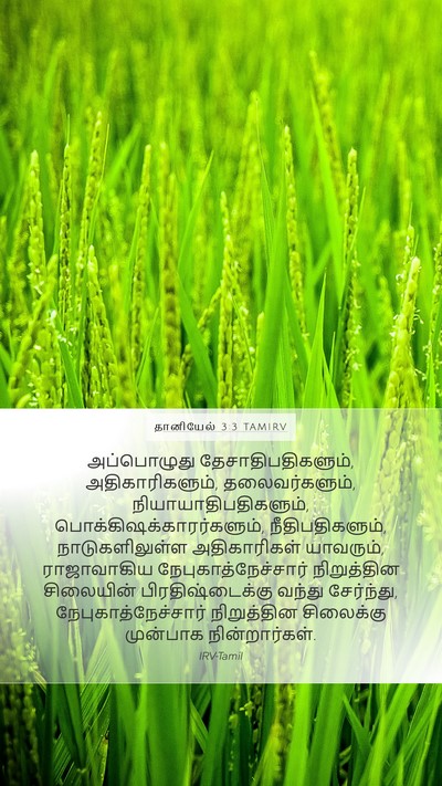 தானியேல் 3:3 TAMIRV Bible Verse Image