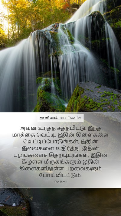 தானியேல் 4:14 TAMIRV Bible Verse Image