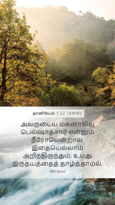 தானியேல் 5:22 TAMIRV Bible Verse Image
