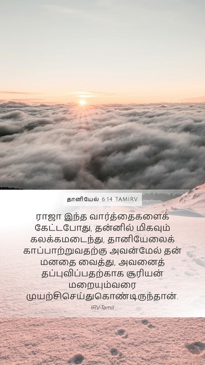 தானியேல் 6:14 TAMIRV Bible Verse Image