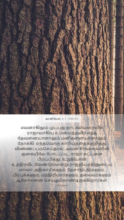தானியேல் 6:7 TAMIRV Bible Verse Image