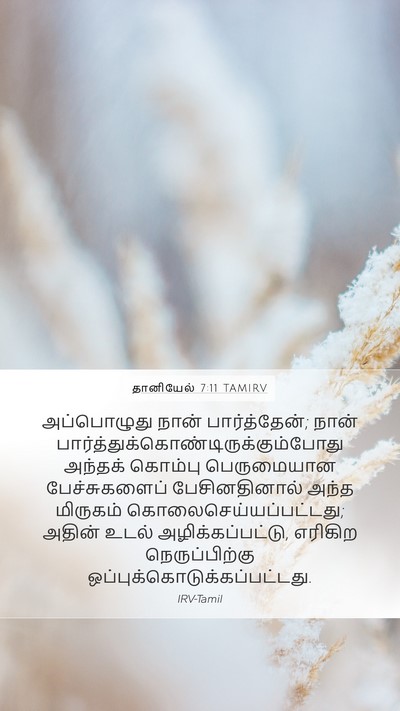 தானியேல் 7:11 TAMIRV Mobile Phone Wallpaper - அப்பொழுது நான் - Mobile Bible Verse Wallpaper