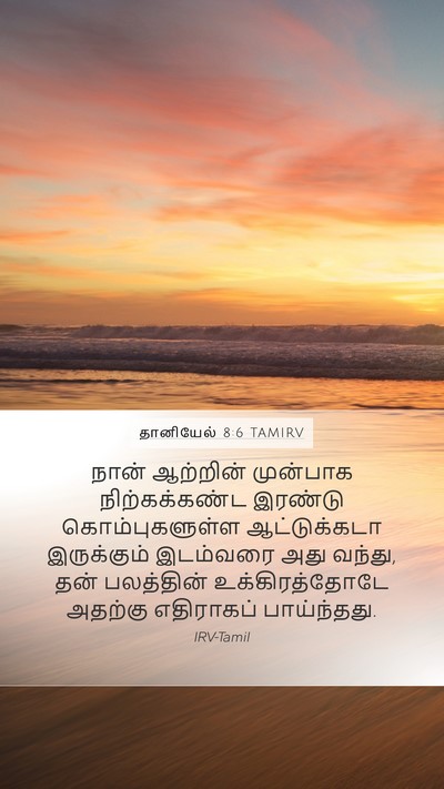 தானியேல் 8:6 TAMIRV Mobile Phone Wallpaper - நான் ஆற்றின் - Mobile Bible Verse Wallpaper