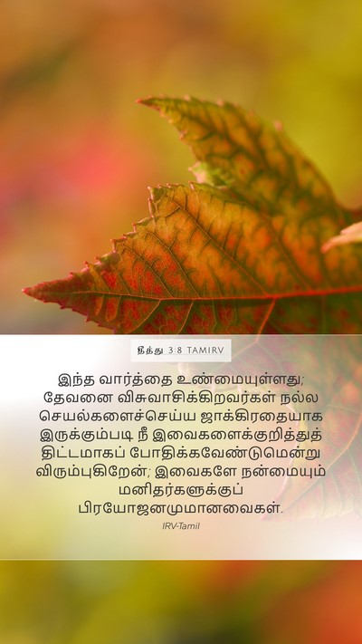 தீத்து 3:8 TAMIRV Bible Verse Image
