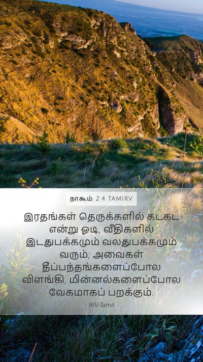 நாகூம் 2:4 TAMIRV Bible Verse Image
