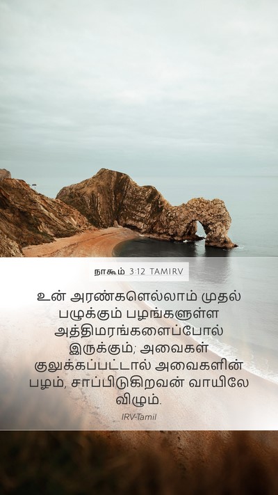நாகூம் 3:12 TAMIRV Bible Verse Image