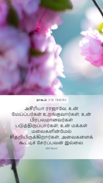 நாகூம் 3:18 TAMIRV Bible Verse Image