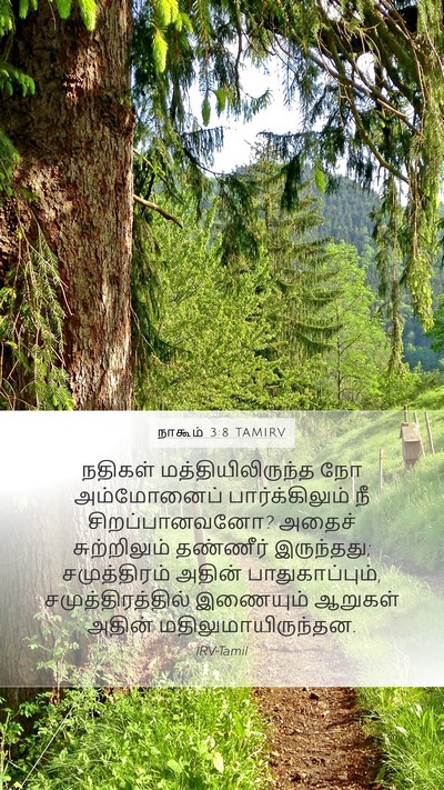 நாகூம் 3:8 TAMIRV Bible Verse Image