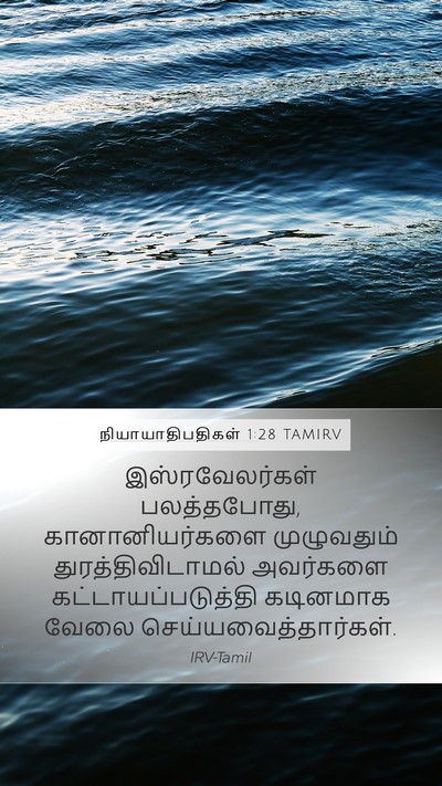 நியாயாதிபதிகள் 1:28 TAMIRV Bible Verse Image