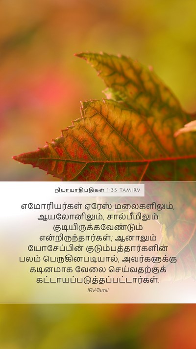 நியாயாதிபதிகள் 1:35 TAMIRV Bible Verse Image