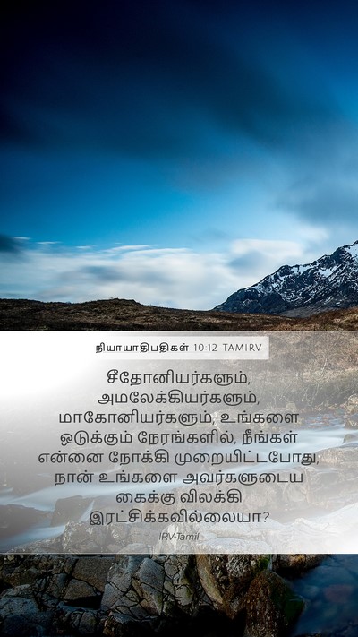 நியாயாதிபதிகள் 10:12 TAMIRV Bible Verse Image