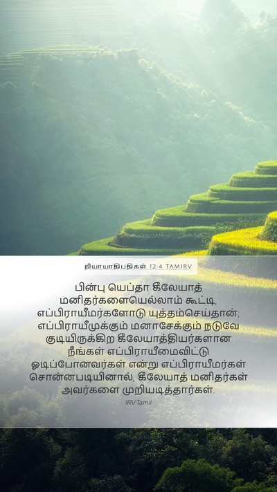 நியாயாதிபதிகள் 12:4 TAMIRV Bible Verse Image