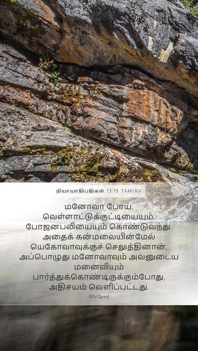 நியாயாதிபதிகள் 13:19 TAMIRV Bible Verse Image