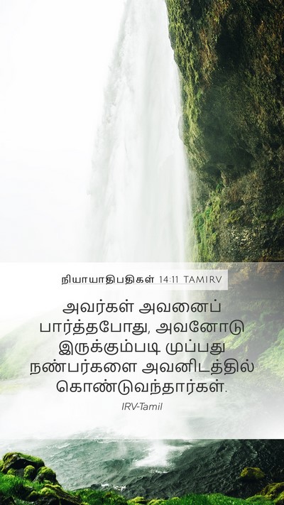 நியாயாதிபதிகள் 14:11 TAMIRV Bible Verse Image
