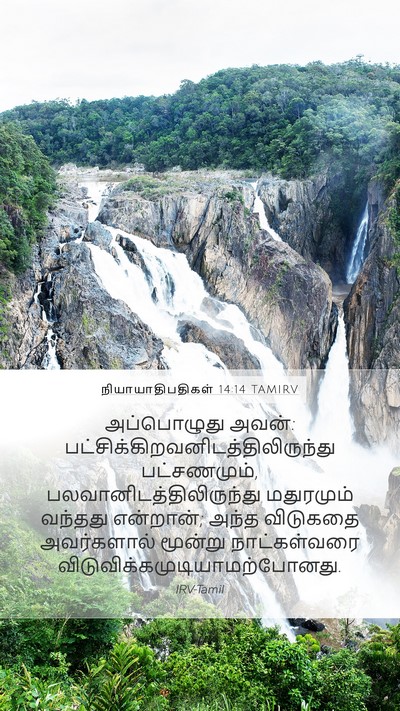 நியாயாதிபதிகள் 14:14 TAMIRV Mobile Phone Wallpaper - அப்பொழுது அவன்: - Mobile Bible Verse Wallpaper