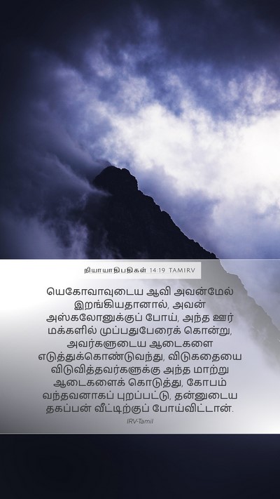 நியாயாதிபதிகள் 14:19 TAMIRV Bible Verse Image