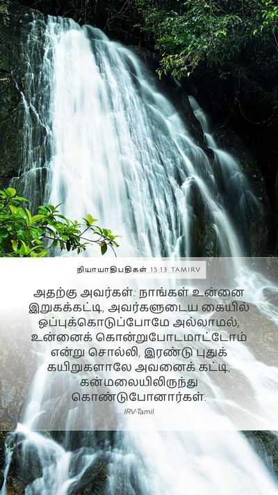 நியாயாதிபதிகள் 15:13 TAMIRV Bible Verse Image