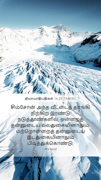நியாயாதிபதிகள் 16:29 TAMIRV Bible Verse Image