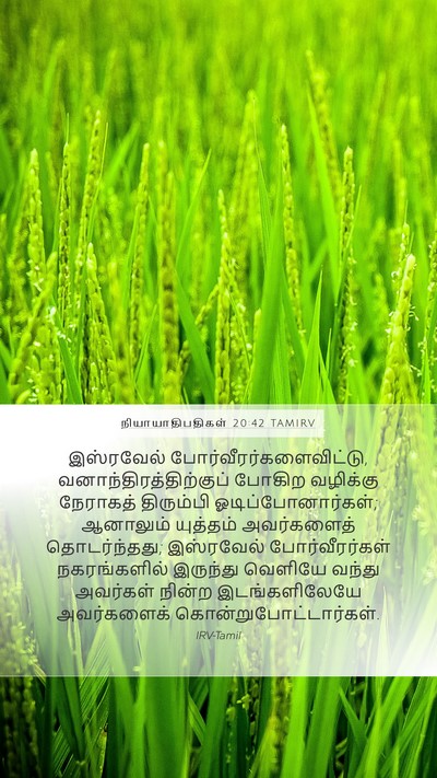 நியாயாதிபதிகள் 20:42 TAMIRV Mobile Phone Wallpaper - இஸ்ரவேல் - Mobile Bible Verse Wallpaper