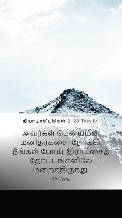 நியாயாதிபதிகள் 21:20 TAMIRV Mobile Phone Wallpaper - அவர்கள் பென்யமீன் - Mobile Bible Verse Wallpaper