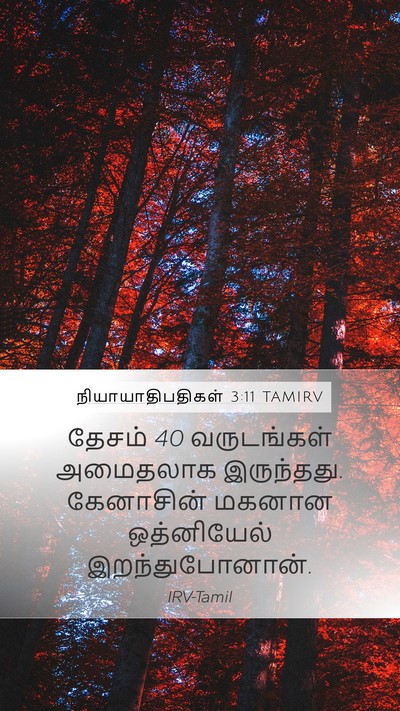 நியாயாதிபதிகள் 3:11 TAMIRV Bible Verse Image