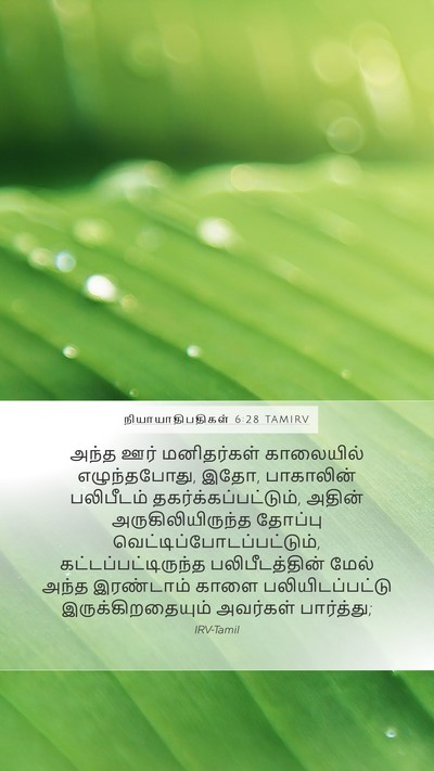 நியாயாதிபதிகள் 6:28 TAMIRV Mobile Phone Wallpaper - அந்த ஊர் - Mobile Bible Verse Wallpaper
