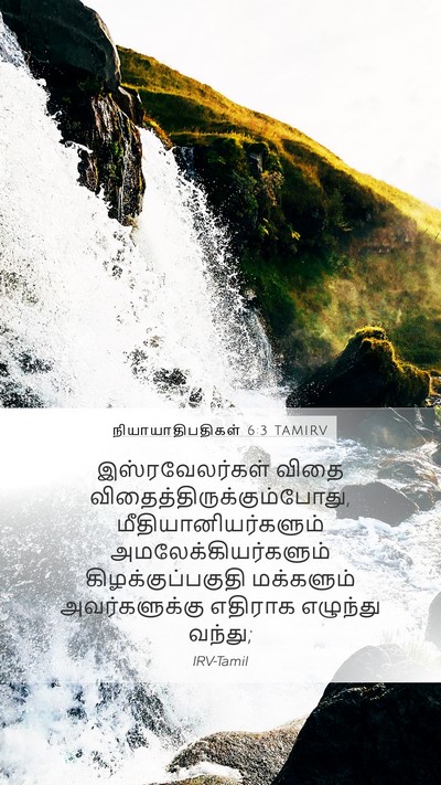 நியாயாதிபதிகள் 6:3 TAMIRV Bible Verse Image