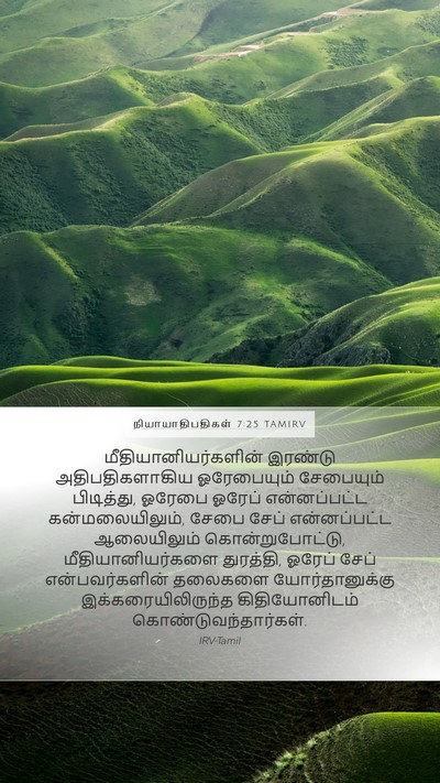 நியாயாதிபதிகள் 7:25 TAMIRV Mobile Phone Wallpaper - மீதியானியர்களின் - Mobile Bible Verse Wallpaper