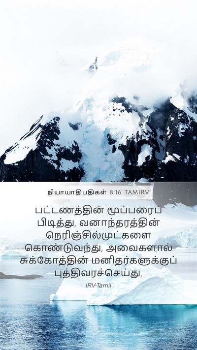 நியாயாதிபதிகள் 8:16 TAMIRV Bible Verse Image