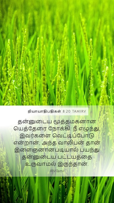 நியாயாதிபதிகள் 8:20 TAMIRV Bible Verse Image