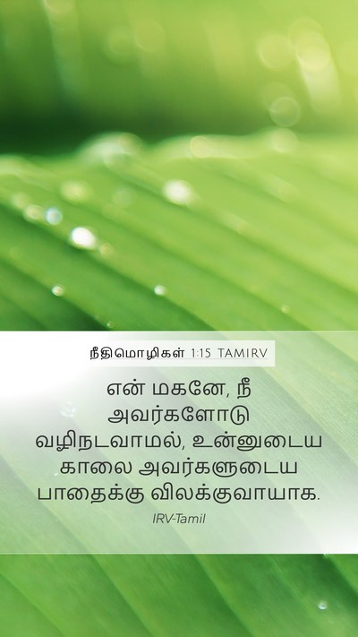 நீதிமொழிகள் 1:15 TAMIRV Bible Verse Image