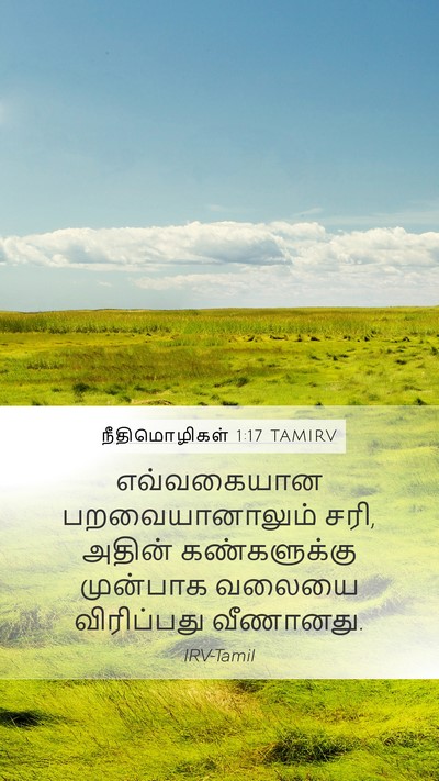 நீதிமொழிகள் 1:17 TAMIRV Bible Verse Image